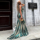 Evening Dress sequins strap, long tail, plunging neck, prom, backless
