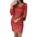 Women's Sexy Mini Dress Silver Sequin V Neck Long Sleeve Slim Fit