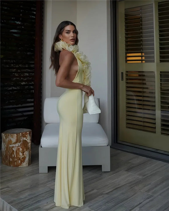 Women's Sexy Maxi Dress Elegant Mesh Deep V Backless Sleeveless Bodycon