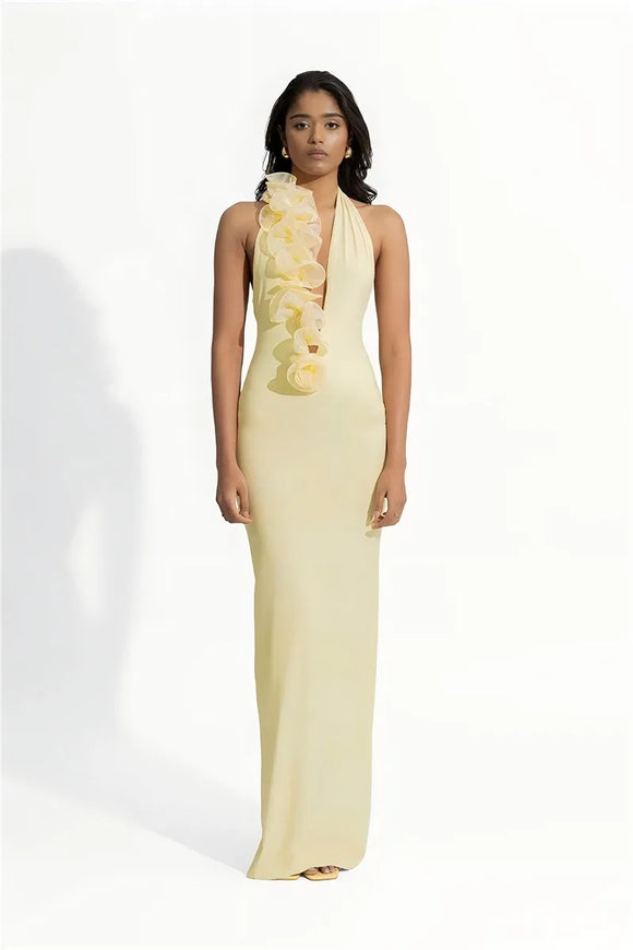 Women's Sexy Maxi Dress Elegant Mesh Deep V Backless Sleeveless Bodycon