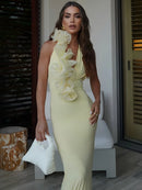 Women's Sexy Maxi Dress Elegant Mesh Deep V Backless Sleeveless Bodycon