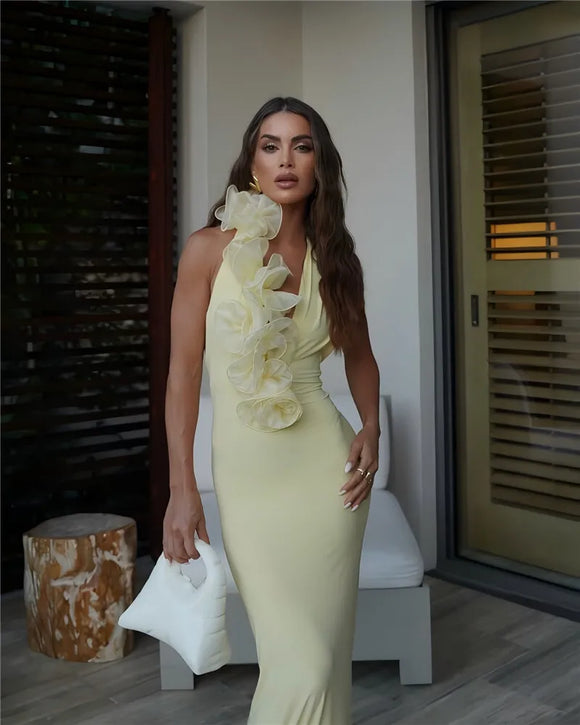 Women's Sexy Maxi Dress Elegant Mesh Deep V Backless Sleeveless Bodycon