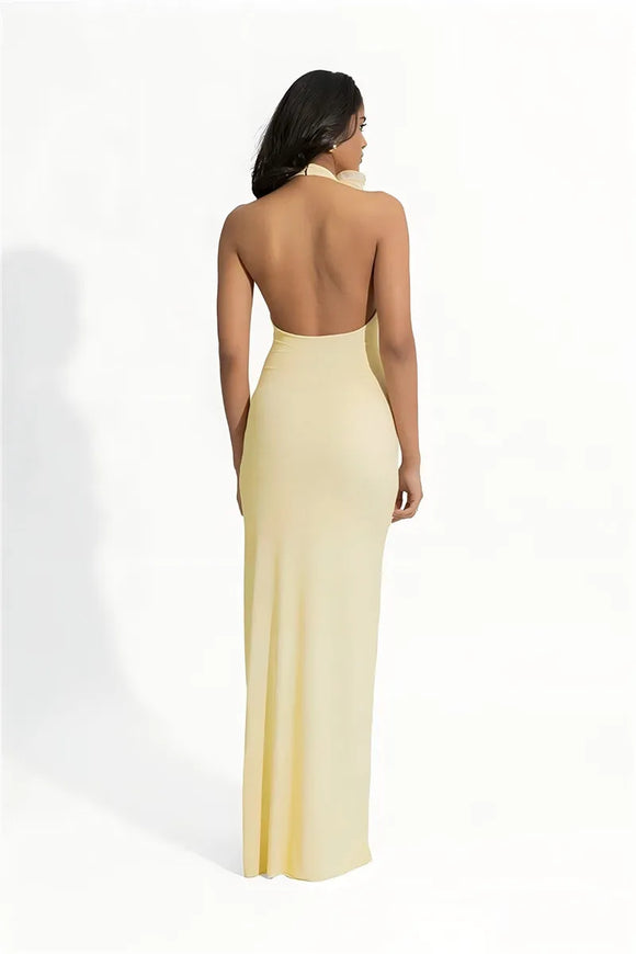 Women's Sexy Maxi Dress Elegant Mesh Deep V Backless Sleeveless Bodycon