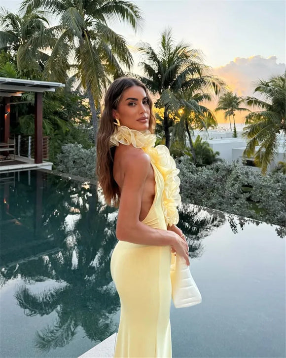 Women's Sexy Maxi Dress Elegant Mesh Deep V Backless Sleeveless Bodycon