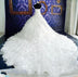 Wedding dress transparent luxury elegant with lace appliques, big tail