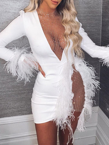 Women's Mini dress transparent elegant for nightclub, sexy with feathers