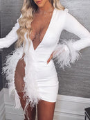 Women's Mini dress transparent elegant for nightclub, sexy with feathers